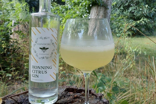 Køl af i sommervarmen med en frozen Gin Hass
